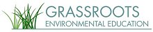 link to the website