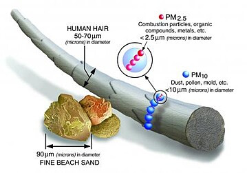 particulate pollution sizes