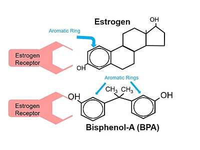 Estrogen and BPA chemical structures