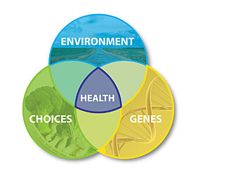 Venn diagram showing health at the intersection of environment, choices and genes