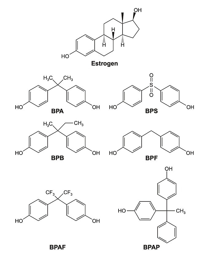 Chemical structures of estrogen and bisphenols-alternatives of BPA