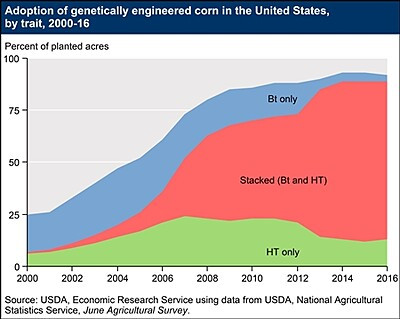 use of GMO corn in the US