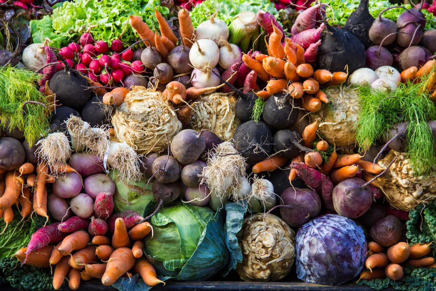 Vegetables from a farmer's market