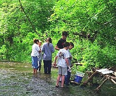 field trip to a creek