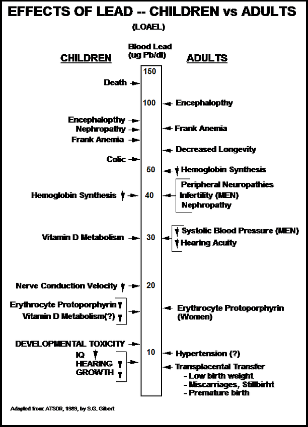 effects of lead on children and adults