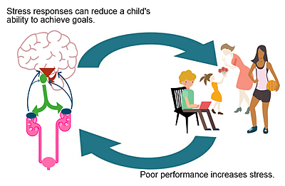 cycle of stress and performance