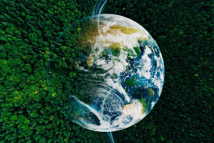 Aerial view of coniferous forest and planet Earth, double exposure