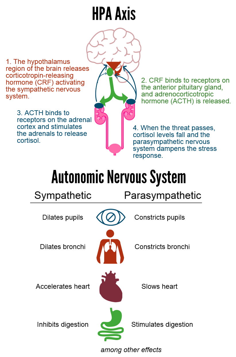 Psychosocial Environment Collaborative For Health Environment